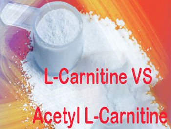 L-Carnitine Vs Acetyl L-Carnitine